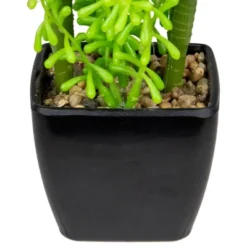 Northlight 6" Potted Green Artificial Succulent Arrangement -Northlight Store GUEST ef30f800 77f8 4321 8304 990ee01bb64a