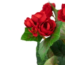 Northlight 11" Red Potted Silk Begonia Spring Artificial Floral Arrangement -Northlight Store GUEST f12d5d93 398b 477b ac3f b04d03607a1a