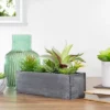 Northlight 12" Artificial Mixed Succulent Plants In A Rectangular Planter 1 Northlight 12" Artificial Mixed Succulent Plants In A Rectangular Planter -Northlight Store GUEST f28e1d0e 36c7 4ef0 b83e 36f0cbce8489