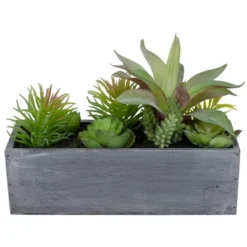 Northlight 12" Artificial Mixed Succulent Plants In A Rectangular Planter -Northlight Store GUEST f4109dc6 9bd7 4f6c 9371 241fa94e9b46