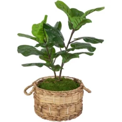 Northlight 26" Dark Green Artificial Potted Fiddle-Leaf Fig Plant -Northlight Store GUEST f4b9f6e7 5b29 46d9 ae15 1d669555b234