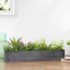 Northlight 23" Artificial Mixed Succulent Plants In A Rectangular Planter 1 Northlight 23" Artificial Mixed Succulent Plants In A Rectangular Planter -Northlight Store GUEST f50c3a8e 6240 449f 809e dd3fc52875bf