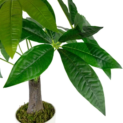 Northlight 18.5" Artificial Guiana Chestnut Plant In White Pot 7 Northlight 18.5" Artificial Guiana Chestnut Plant In White Pot - Image 5