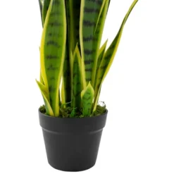Northlight 29" Artificial Potted Green Striped Leaf Dracaena Snake Plant -Northlight Store GUEST f810954a ee9e 412d a8dd 79671314b273