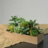 Northlight 11.5" Mixed Succulent Artificial Plants In Wooden Planter Box - Green/Brown -Northlight Store GUEST f8169e3c 84a5 4b08 8828 477d0eea8637