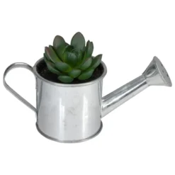 Northlight 4" Tropical Rose Succulent In Water Can Artificial Potted Plant - Green/Silver -Northlight Store GUEST f9fc4478 b442 45c4 83cc 1bec92793a7d