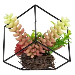 Northlight 5.5" Artificial Succulent Arrangement In Black Metal Wire Frame -Northlight Store GUEST fa240385 37e0 4a19 bb6f 522d160b9dc2