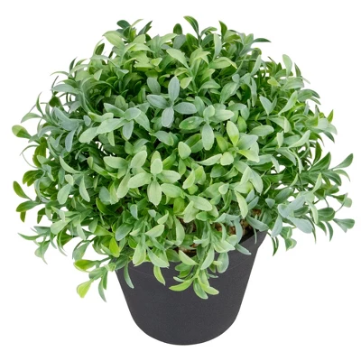 Northlight 7.5" Potted Green Artificial Boxwood Plant 4 Northlight 7.5" Potted Green Artificial Boxwood Plant - Image 2