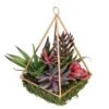 Northlight 9" Succulent Artificial Arrangement In Copper Wire Terrarium - Green/Brown -Northlight Store GUEST fb1ecb69 0bd9 4367 a6bf 7adb000f38f6