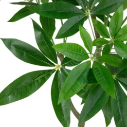 Northlight 4' Artificial Unbraided Potted Green Money Tree 11 Northlight 4' Artificial Unbraided Potted Green Money Tree -Northlight Store GUEST fec5ce88 9406 4d1b a61d 799b0ec18f35