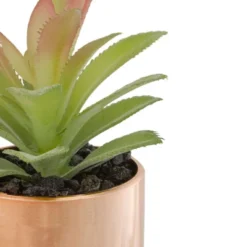 Northlight 5" Green Artificial Aloe Plant In A Rose Gold Pot 7 Northlight 5" Green Artificial Aloe Plant In A Rose Gold Pot -Northlight Store GUEST ff91a300 a789 4e25 9d28 4e492de246f5